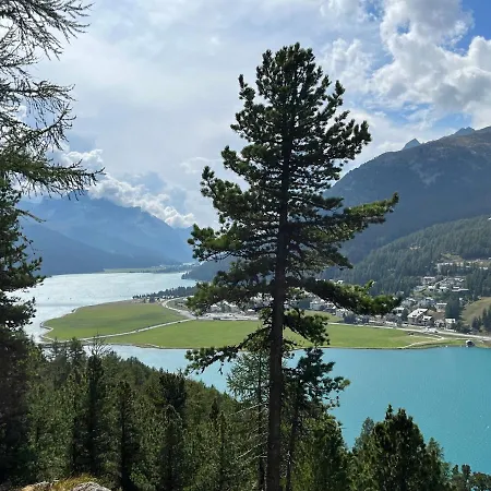 Chesa Munteratsch 2-zimmerwohnung 105 Typ E