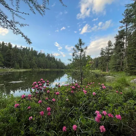 Chesa Munteratsch 2-zimmerwohnung 105 Typ E Apartment Silvaplana