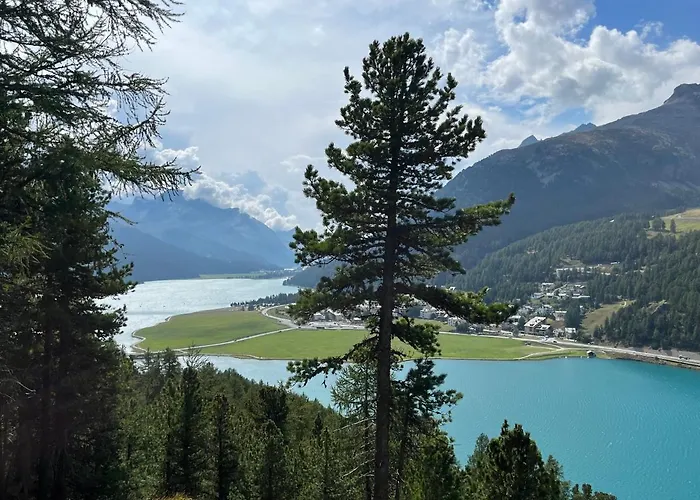 Chesa Munteratsch 2-zimmerwohnung 105 Typ E