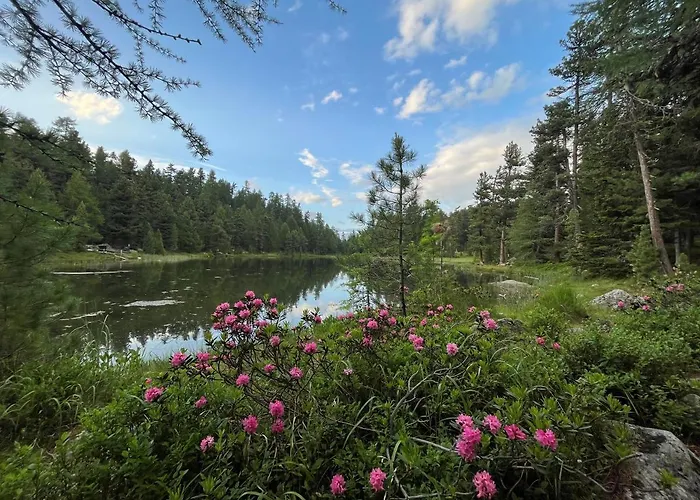 Chesa Munteratsch 2-zimmerwohnung 105 Typ E Apartman Silvaplana