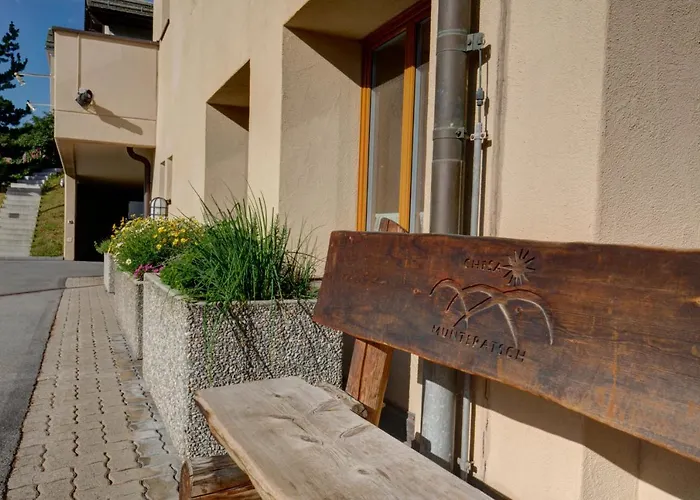 Apartman Chesa Munteratsch 2-zimmerwohnung 105 Typ E Silvaplana