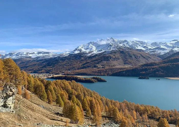 Chesa Munteratsch 2-zimmerwohnung 105 Typ E * Silvaplana