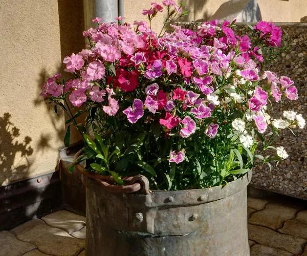 Apartman Chesa Munteratsch 2-zimmerwohnung 105 Typ E