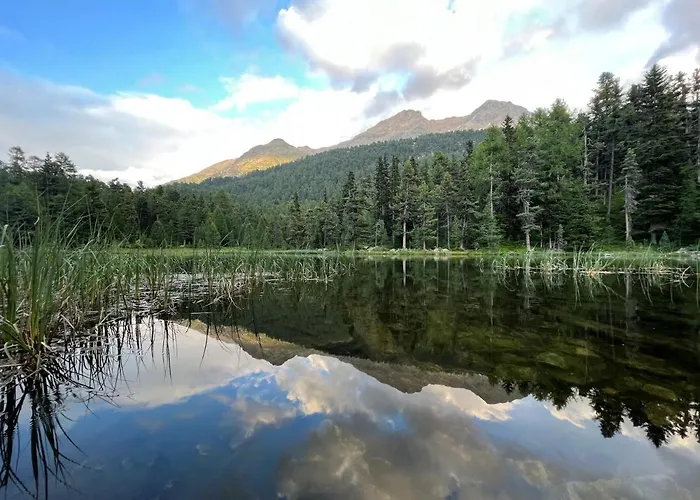 Chesa Munteratsch 2-zimmerwohnung 105 Typ E Apartman Silvaplana