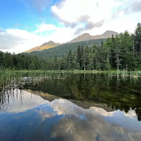 Chesa Munteratsch 2-zimmerwohnung 105 Typ E アパート シルヴァプラーナ