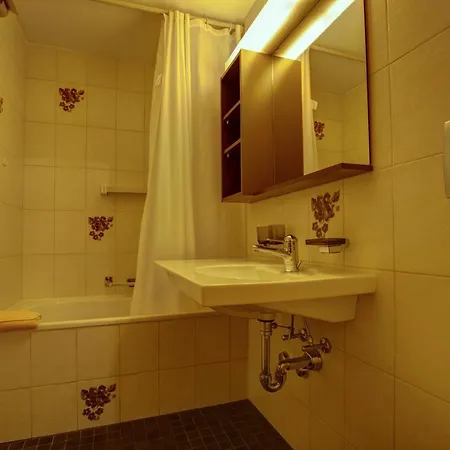 Chesa Munteratsch 2-zimmerwohnung 105 Typ E Silvaplana