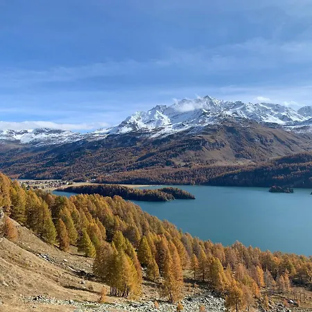 Chesa Munteratsch 2-zimmerwohnung 105 Typ E * Silvaplana
