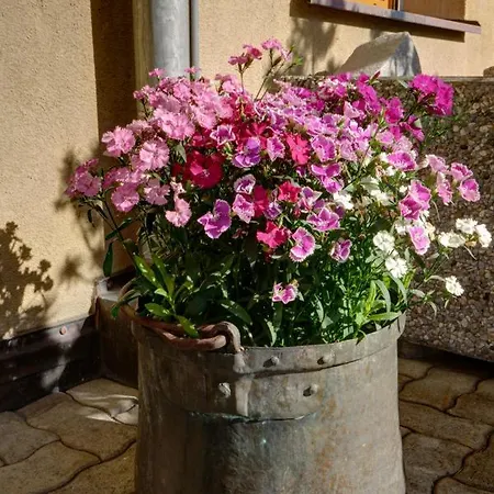 Apartamento Chesa Munteratsch 2-zimmerwohnung 105 Typ E